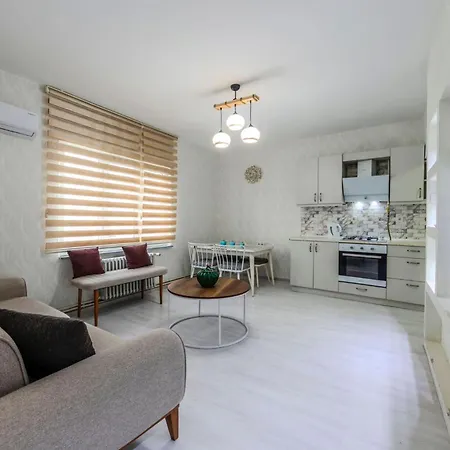Palas Apartments 4* 伊斯坦布尔